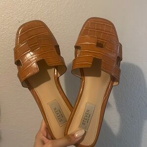 STEVE MADEEN HAYDN BROWN CROCODILE